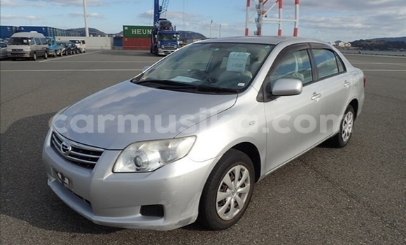 Acheter Occasion Voiture Toyota Axio Gris à Beitbridge, Matabeleland South