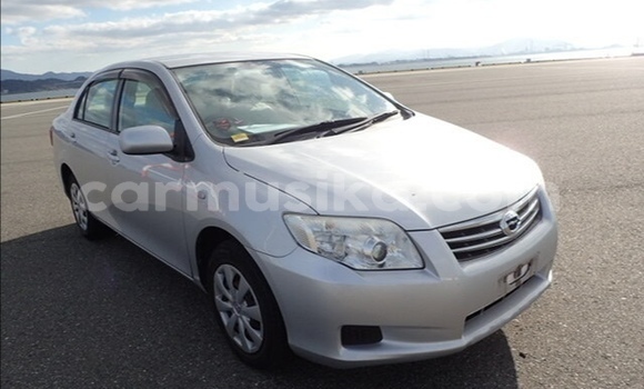 Acheter Occasion Voiture Toyota Axio Gris à Beitbridge, Matabeleland South Acheter Occasion Voiture Toyota Axio Gris à Beitbridge, Matabeleland South