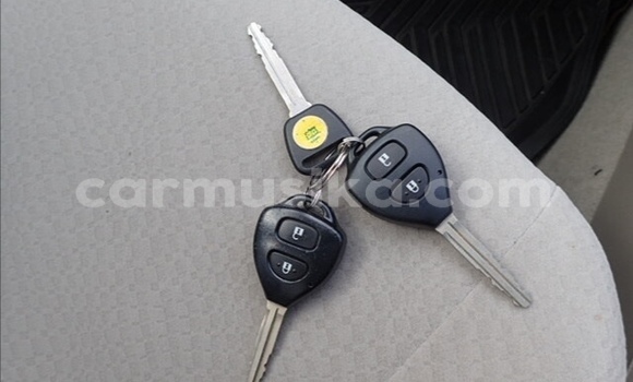 Acheter Occasion Voiture Toyota Axio Gris à Beitbridge, Matabeleland South Acheter Occasion Voiture Toyota Axio Gris à Beitbridge, Matabeleland South