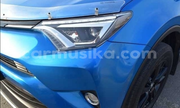 Tenga Tsaru Toyota RAV4 Bhuruu Mota in Harare in Harare Tenga Tsaru Toyota RAV4 Bhuruu Mota in Harare in Harare