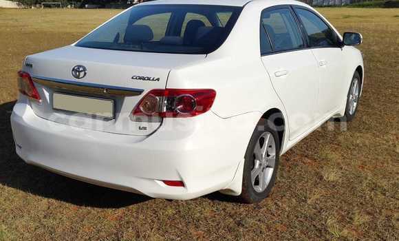 Acheter Occasion Voiture Toyota Corolla Blanc à Beitbridge, Matabeleland South Acheter Occasion Voiture Toyota Corolla Blanc à Beitbridge, Matabeleland South