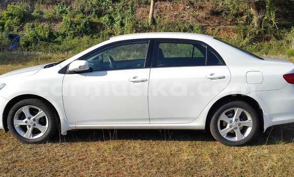 Acheter Occasion Voiture Toyota Corolla Blanc à Beitbridge, Matabeleland South Acheter Occasion Voiture Toyota Corolla Blanc à Beitbridge, Matabeleland South