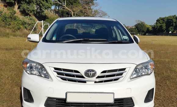 Acheter Occasion Voiture Toyota Corolla Blanc à Beitbridge, Matabeleland South Acheter Occasion Voiture Toyota Corolla Blanc à Beitbridge, Matabeleland South