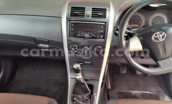 Acheter Occasion Voiture Toyota Corolla Blanc à Beitbridge, Matabeleland South Acheter Occasion Voiture Toyota Corolla Blanc à Beitbridge, Matabeleland South