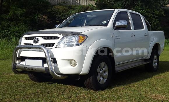 Tenga Tsaru Toyota Hilux Chena Mota in Beitbridge in Matabeleland South