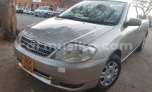 Buy Used Toyota Corolla Silver Car in Alexandra Park in Harare Buy Used Toyota Corolla Silver Car in Alexandra Park in Harare