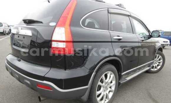 Buy Used Honda CR–V Black Car in Beitbridge in Matabeleland South