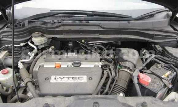 Acheter Occasion Voiture Honda CR–V Noir à Beitbridge, Matabeleland South Acheter Occasion Voiture Honda CR–V Noir à Beitbridge, Matabeleland South