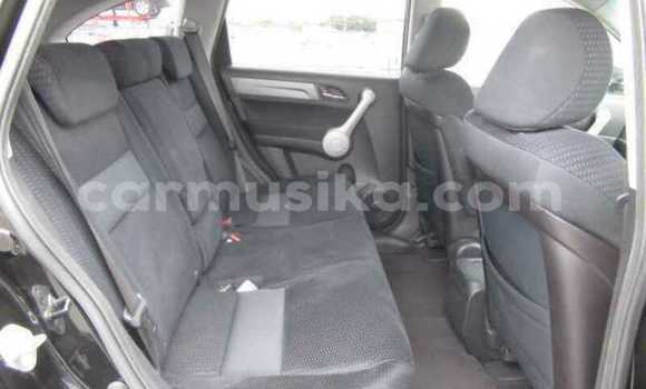 Acheter Occasion Voiture Honda CR–V Noir à Beitbridge, Matabeleland South Acheter Occasion Voiture Honda CR–V Noir à Beitbridge, Matabeleland South