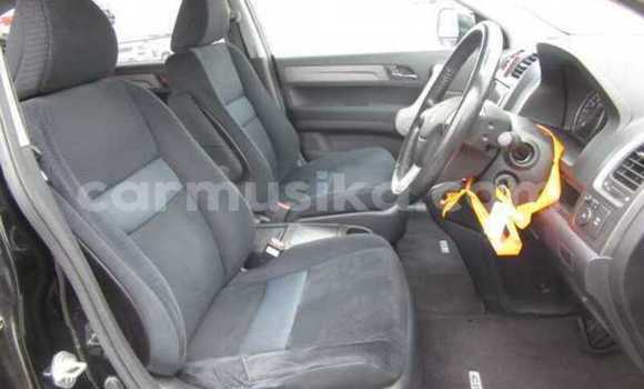 Acheter Occasion Voiture Honda CR–V Noir à Beitbridge, Matabeleland South Acheter Occasion Voiture Honda CR–V Noir à Beitbridge, Matabeleland South