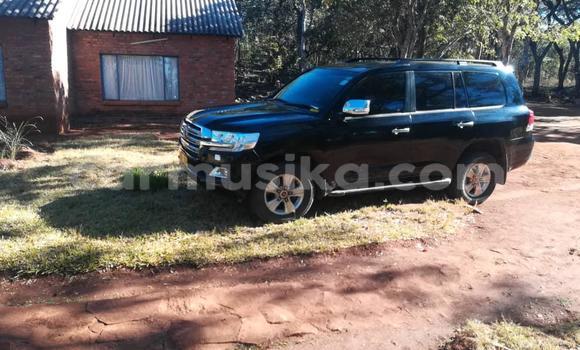 Buy Used Toyota Land Cruiser Black Car in Harare in Harare Buy Used Toyota Land Cruiser Black Car in Harare in Harare