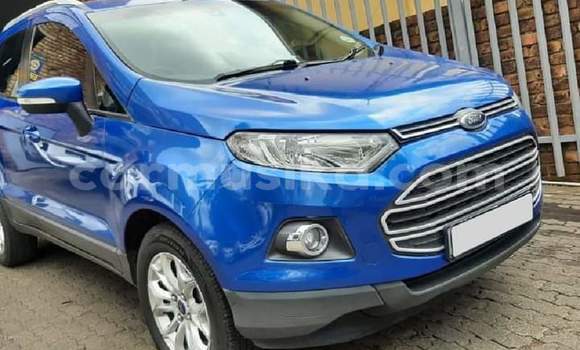 Tenga Tsaru Ford EcoSport Bhuruu Mota in Beitbridge in Matabeleland South