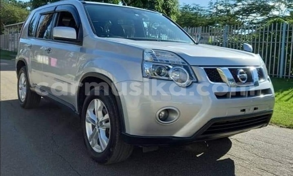 Nunua Ilio tumika Nissan X–Trail Nyingine Gari ndani ya Beitbridge nchini Matabeleland Kusini