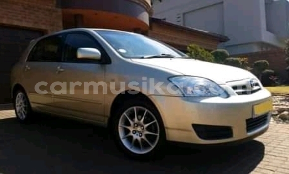 Buy Used Toyota Runx Silver Car in Beitbridge in Matabeleland South