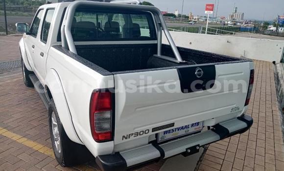Tenga Tsaru Nissan NP 300 Chena Mota in Beitbridge in Matabeleland South