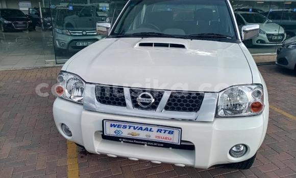 Acheter Occasion Voiture Nissan NP 300 Blanc à Beitbridge, Matabeleland South Acheter Occasion Voiture Nissan NP 300 Blanc à Beitbridge, Matabeleland South