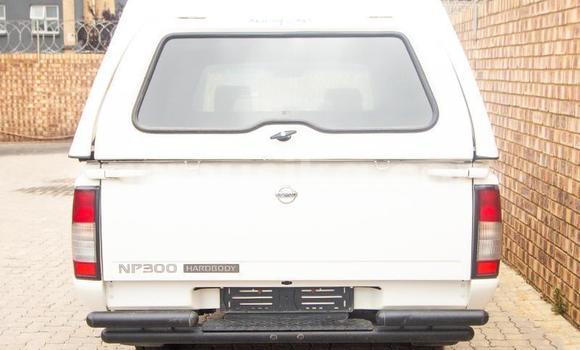 Acheter Occasion Voiture Nissan NP 300 Blanc à Beitbridge, Matabeleland South