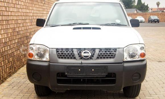 Buy Used Nissan NP 300 White Car in Beitbridge in Matabeleland South Buy Used Nissan NP 300 White Car in Beitbridge in Matabeleland South