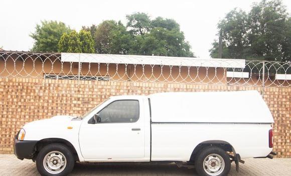 Buy Used Nissan NP 300 White Car in Beitbridge in Matabeleland South Buy Used Nissan NP 300 White Car in Beitbridge in Matabeleland South