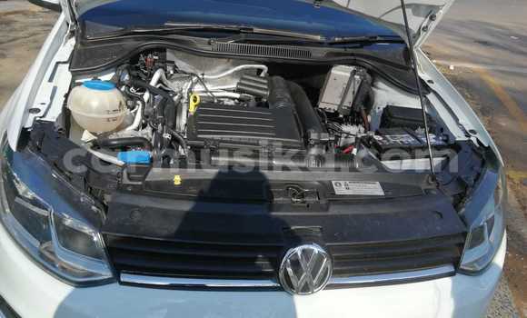 Tenga Tsaru Volkswagen Polo Chena Mota in Beitbridge in Matabeleland South Tenga Tsaru Volkswagen Polo Chena Mota in Beitbridge in Matabeleland South