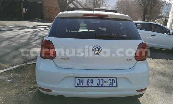 Tenga Tsaru Volkswagen Polo Chena Mota in Beitbridge in Matabeleland South Tenga Tsaru Volkswagen Polo Chena Mota in Beitbridge in Matabeleland South