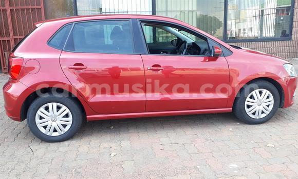 Tenga Tsaru Volkswagen Polo Tsvuku Mota in Beitbridge in Matabeleland South Tenga Tsaru Volkswagen Polo Tsvuku Mota in Beitbridge in Matabeleland South