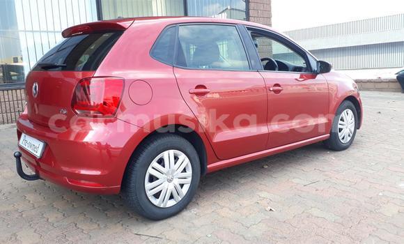 Tenga Tsaru Volkswagen Polo Tsvuku Mota in Beitbridge in Matabeleland South Tenga Tsaru Volkswagen Polo Tsvuku Mota in Beitbridge in Matabeleland South