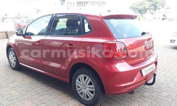 Tenga Tsaru Volkswagen Polo Tsvuku Mota in Beitbridge in Matabeleland South Tenga Tsaru Volkswagen Polo Tsvuku Mota in Beitbridge in Matabeleland South