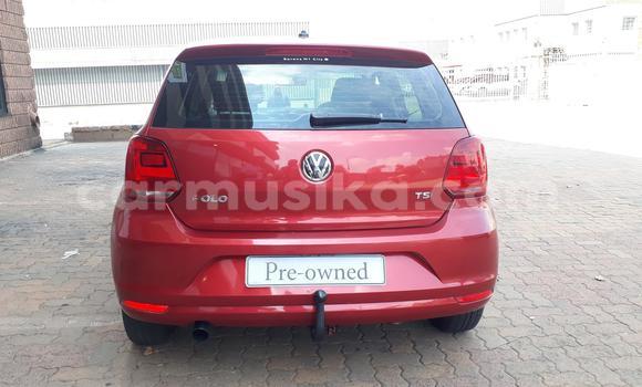 Tenga Tsaru Volkswagen Polo Tsvuku Mota in Beitbridge in Matabeleland South Tenga Tsaru Volkswagen Polo Tsvuku Mota in Beitbridge in Matabeleland South