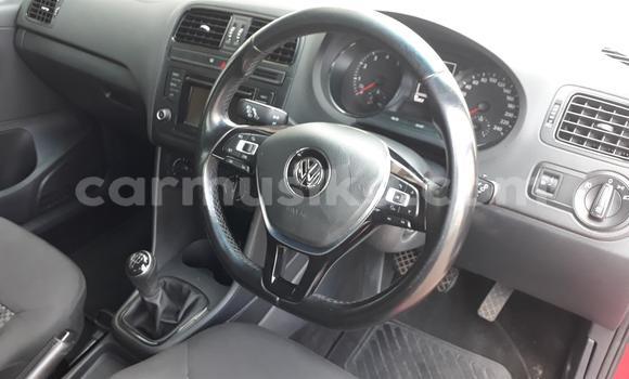 Tenga Tsaru Volkswagen Polo Tsvuku Mota in Beitbridge in Matabeleland South Tenga Tsaru Volkswagen Polo Tsvuku Mota in Beitbridge in Matabeleland South