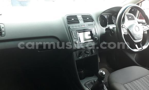 Tenga Tsaru Volkswagen Polo Tsvuku Mota in Beitbridge in Matabeleland South Tenga Tsaru Volkswagen Polo Tsvuku Mota in Beitbridge in Matabeleland South