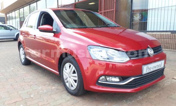 Tenga Tsaru Volkswagen Polo Tsvuku Mota in Beitbridge in Matabeleland South Tenga Tsaru Volkswagen Polo Tsvuku Mota in Beitbridge in Matabeleland South