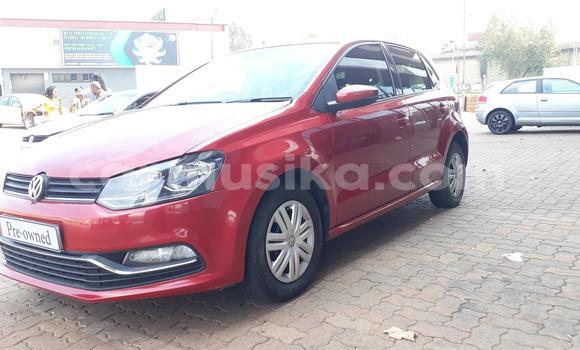 Tenga Tsaru Volkswagen Polo Tsvuku Mota in Beitbridge in Matabeleland South Tenga Tsaru Volkswagen Polo Tsvuku Mota in Beitbridge in Matabeleland South