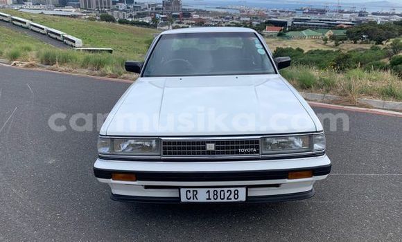 Buy Used Toyota Cressida White Car in Beitbridge in Matabeleland South Buy Used Toyota Cressida White Car in Beitbridge in Matabeleland South
