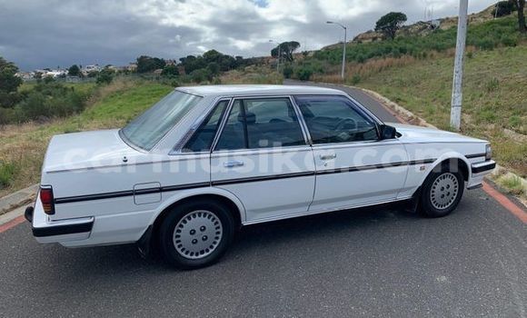 Acheter Occasion Voiture Toyota Cressida Blanc à Beitbridge, Matabeleland South Acheter Occasion Voiture Toyota Cressida Blanc à Beitbridge, Matabeleland South