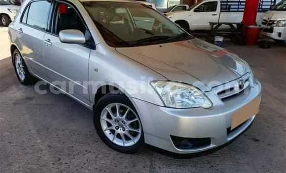 Buy Used Toyota Runx Silver Car in Beitbridge in Matabeleland South Buy Used Toyota Runx Silver Car in Beitbridge in Matabeleland South