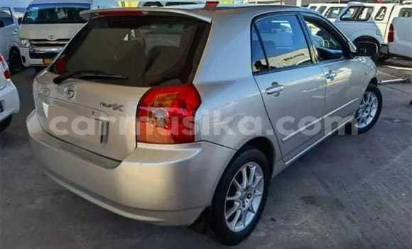 Buy Used Toyota Runx Silver Car in Beitbridge in Matabeleland South Buy Used Toyota Runx Silver Car in Beitbridge in Matabeleland South