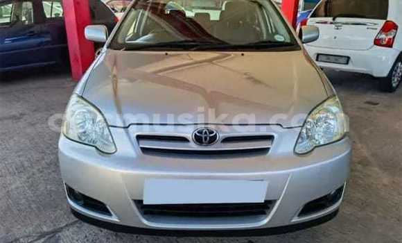 Buy Used Toyota Runx Silver Car in Beitbridge in Matabeleland South Buy Used Toyota Runx Silver Car in Beitbridge in Matabeleland South