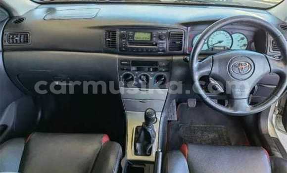 Buy Used Toyota Runx Silver Car in Beitbridge in Matabeleland South Buy Used Toyota Runx Silver Car in Beitbridge in Matabeleland South