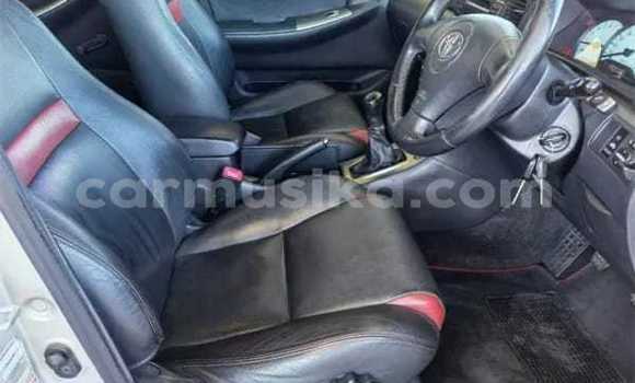 Buy Used Toyota Runx Silver Car in Beitbridge in Matabeleland South Buy Used Toyota Runx Silver Car in Beitbridge in Matabeleland South