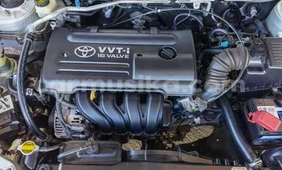 Buy Used Toyota Runx Silver Car in Beitbridge in Matabeleland South Buy Used Toyota Runx Silver Car in Beitbridge in Matabeleland South