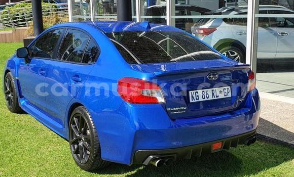 Buy Used Subaru WRX STi Blue Car in Beitbridge in Matabeleland South Buy Used Subaru WRX STi Blue Car in Beitbridge in Matabeleland South