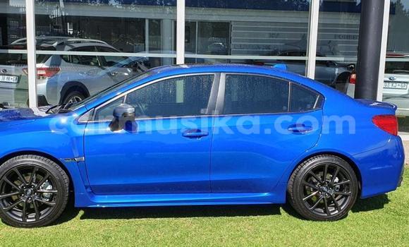 Buy Used Subaru WRX STi Blue Car in Beitbridge in Matabeleland South Buy Used Subaru WRX STi Blue Car in Beitbridge in Matabeleland South