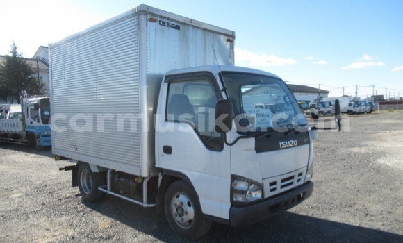 Buy Used Isuzu Elf White Truck in Beitbridge in Matabeleland South