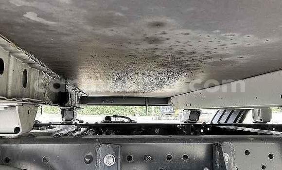 Buy Used Toyota Dyna Other Truck in Beitbridge in Matabeleland South Buy Used Toyota Dyna Other Truck in Beitbridge in Matabeleland South