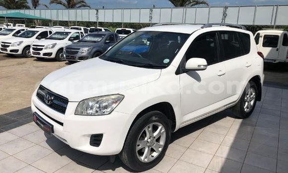 Tenga Tsaru Toyota RAV4 Chena Mota in Beitbridge in Matabeleland South