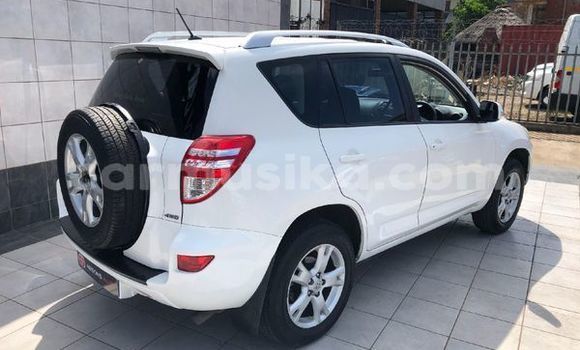 Acheter Occasion Voiture Toyota RAV4 Blanc à Beitbridge, Matabeleland South Acheter Occasion Voiture Toyota RAV4 Blanc à Beitbridge, Matabeleland South