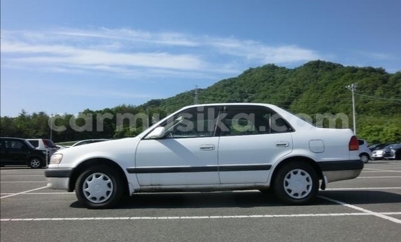 Nunua Ilio tumika Toyota Corolla Nyeupe Gari ndani ya Beitbridge nchini Matabeleland Kusini Nunua Ilio tumika Toyota Corolla Nyeupe Gari ndani ya Beitbridge nchini Matabeleland Kusini