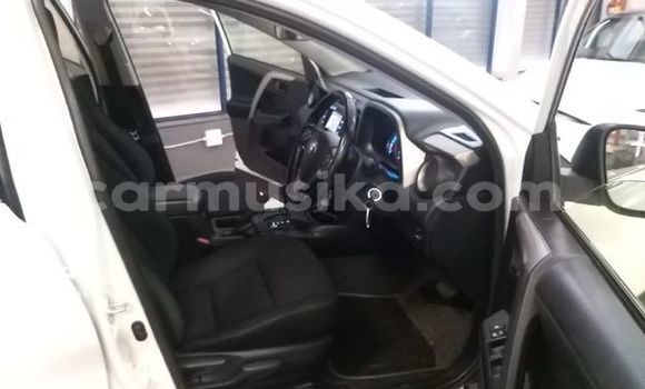 Buy Used Toyota RAV4 White Car in Beitbridge in Matabeleland South Buy Used Toyota RAV4 White Car in Beitbridge in Matabeleland South