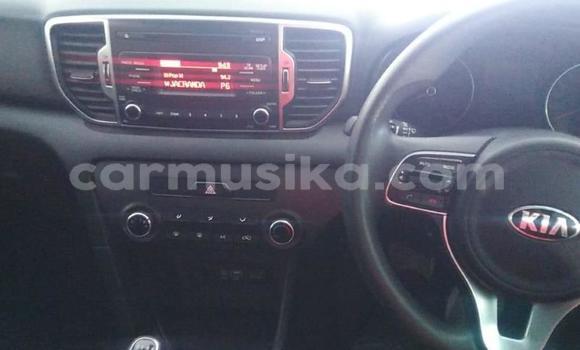 Buy Used Kia Sportage Other Car in Beitbridge in Matabeleland South Buy Used Kia Sportage Other Car in Beitbridge in Matabeleland South